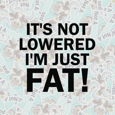 It's Not Lowered I'm Just Fat