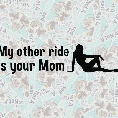 My Other Ride Is Your Mom